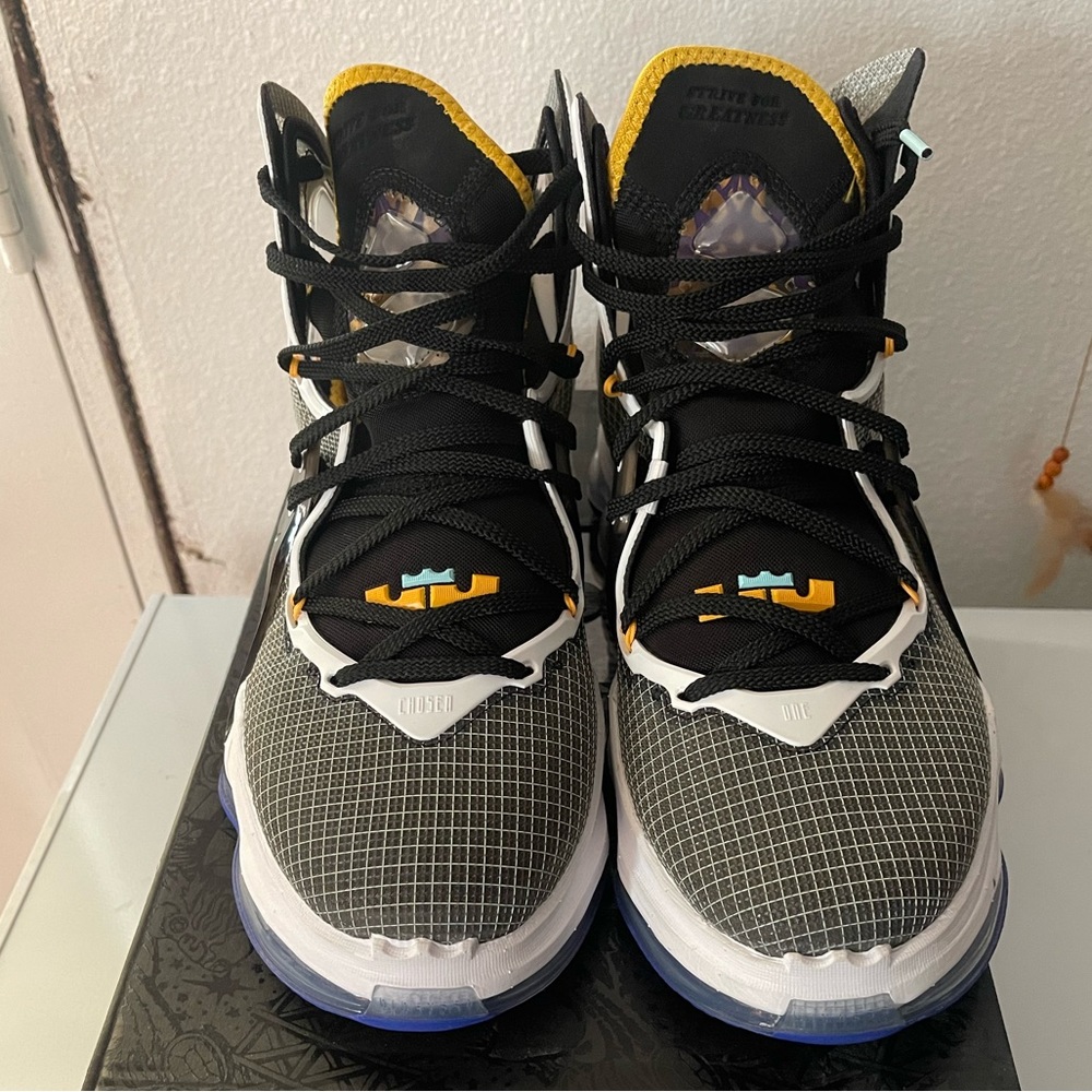Lebron 19 Graduate